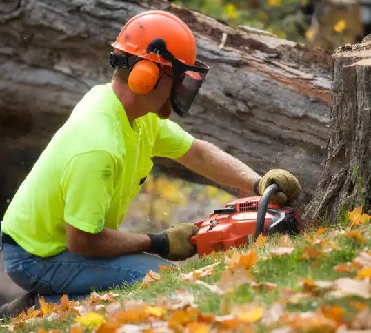 tree services Boulder City